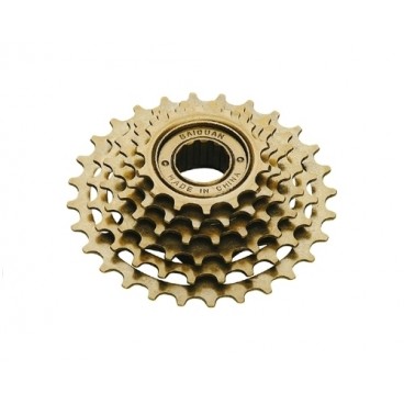 PINION 6