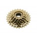 PINION 6