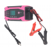Incarcator Baterie Auto 12V/24V Andowl Q DP1000